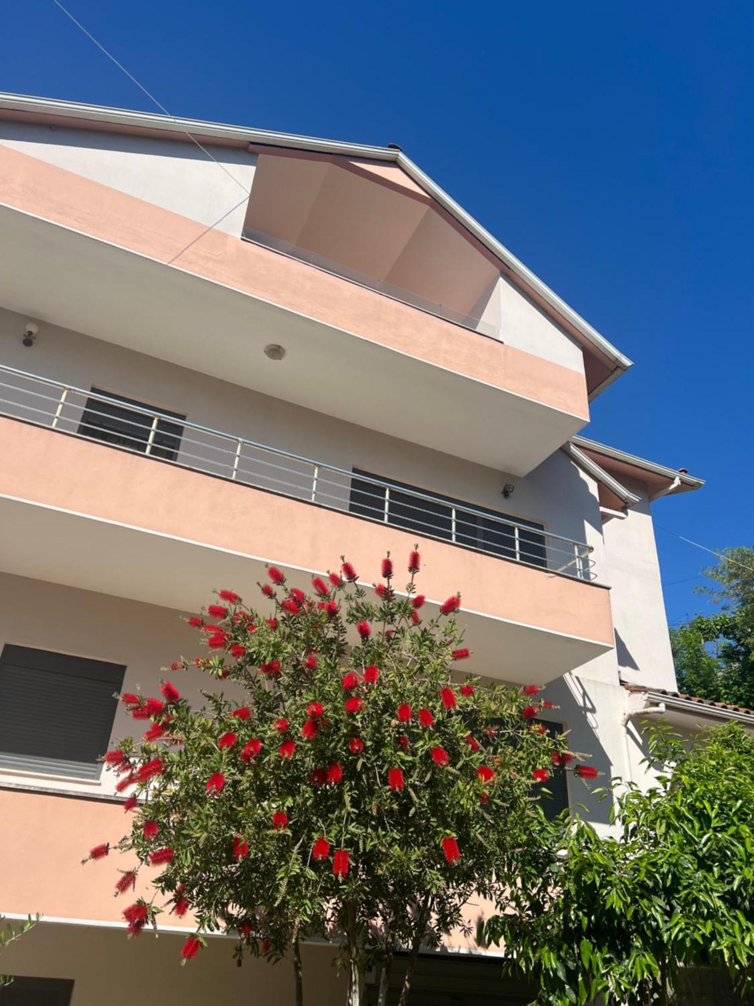 Flower Terrace Apartment Gjirokastër Dış mekan fotoğraf